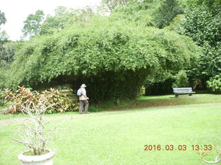 Indonesia Bogur Botanical Garden