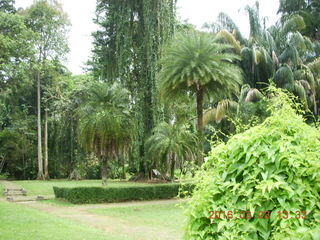 Indonesia Bogur Botanical Garden - our group