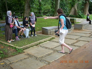 Indonesia Bogur Botanical Garden - nymph