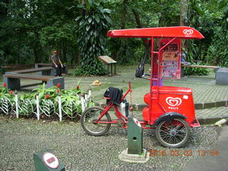 Indonesia Bogur Botanical Garden food cart