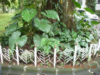 Indonesia Bogur Botanical Garden - Adam with local group