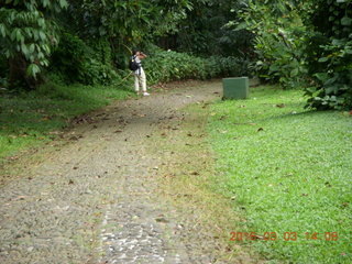 Indonesia Bogur Botanical Garden - cat