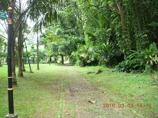 Indonesia Bogur Botanical Garden