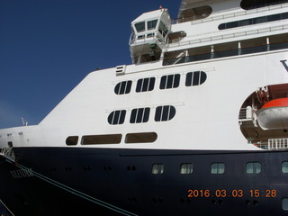 ms Volendam