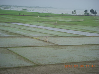 Indonesia - bus ride to Borabudur - rice paddies