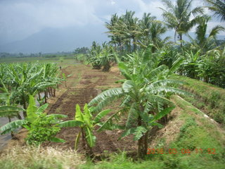 40 994. Indonesia - bus ride to Borabudur