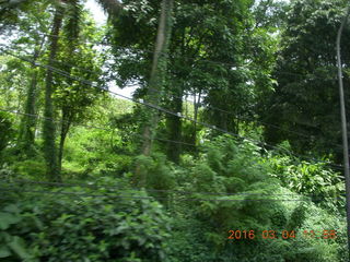 Indonesia - bus ride to Borabudur - rice paddies