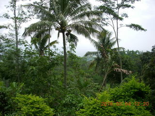 Indonesia - bus ride to Borabudur - coffee stop