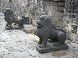 Indonesia - Borobudur temple - dogs/lions