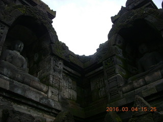 Indonesia - Borobudur temple - Buddhas in the wall