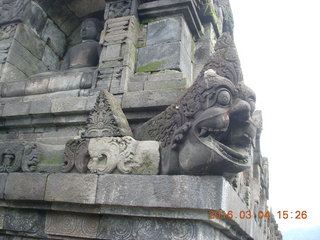 Indonesia - Borobudur temple - gargoyle