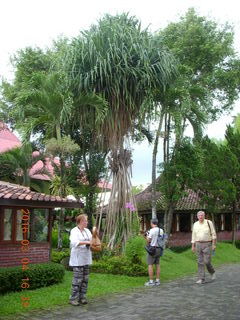 Indonesia - music and puppet show - Adam and new shirt