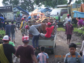 Indonesia - Probolinggo drive to Mt. Bromo