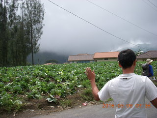 50 996. Indonesia - drive to Mt. Bromo