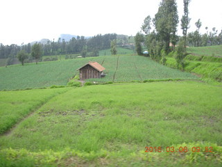 Indonesia - drive to Mt. Bromo - my Jeep (change holder)