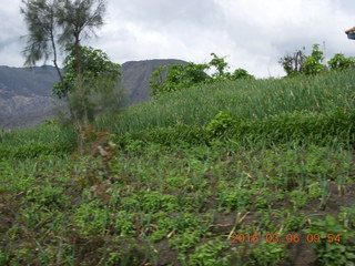 Indonesia - Jeep drive to Mt. Bromo