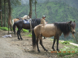 Indonesia - Mighty Mt. Bromo - horses