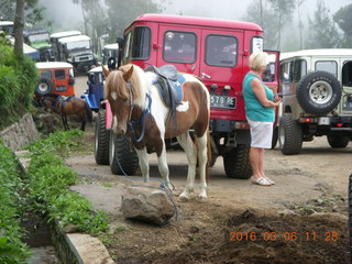 Indonesia - Mighty Mt. Bromo - horse