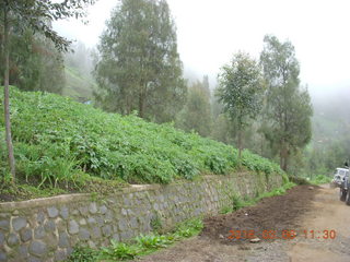 160 996. Indonesia - Mighty Mt. Bromo - Jeep drive down