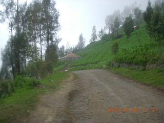 164 996. Indonesia - Mighty Mt. Bromo - Jeep drive down