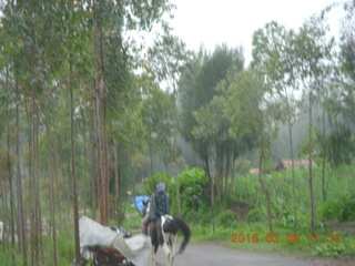 166 996. Indonesia - Mighty Mt. Bromo - Jeep drive down - horse