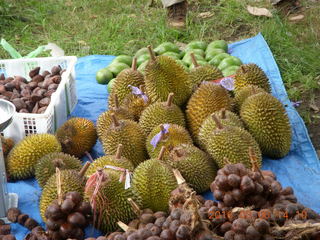 267 996. Indonesia - Mighty Mt. Bromo drive - durian +++