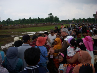 Indonesia - cow racing