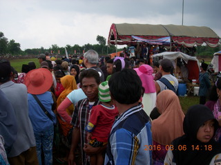 273 996. Indonesia - cow racing