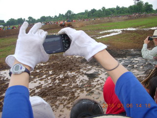 Indonesia - cow racing (the first race blocked)