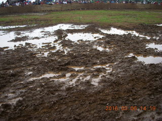 276 996. Indonesia - cow racing