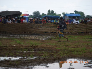 280 996. Indonesia - cow racing