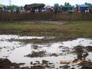 285 996. Indonesia - cow racing