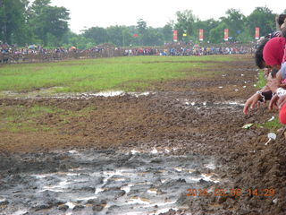 Indonesia - cow racing (the first race blocked)