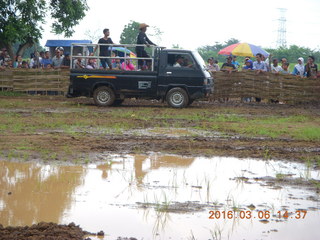 287 996. Indonesia - cow racing - cleaning up the race course