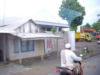 Indonesia - cow racing - there they go! +++