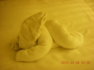 folded-towel bunny rabbit