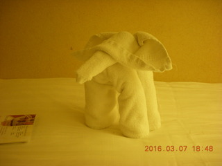 folded-towel elephant