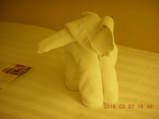 folded-towel elephant