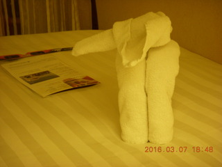 folded-towel elephant