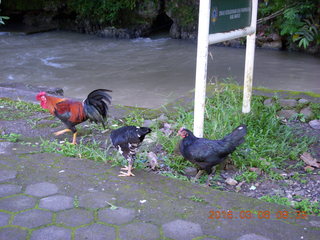 Indonesia - drive to Bantimurung