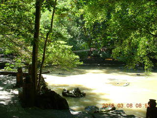 Indonesia - Bantimurung Water Park - ant