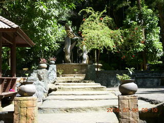 Indonesia - Bantimurung Water Park - butterflies