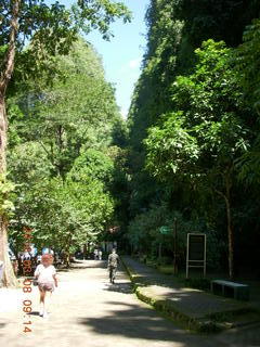 Indonesia - Bantimurung Water Park - butterflies