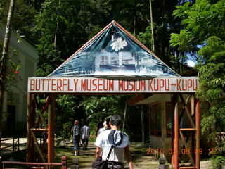 Indonesia - Bantimurung Water Park - butterflies