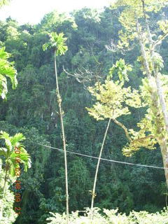 Indonesia - Bantimurung Water Park