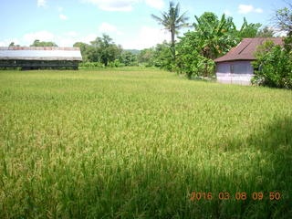 Indonesia village - bridge