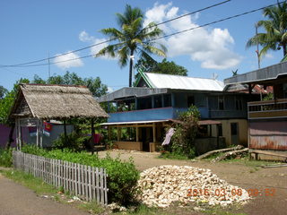 Indonesia village - big spider above