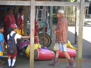 Indonesia village - cows