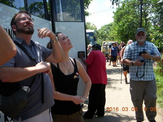 Indonesia village- tourists looking up at bats