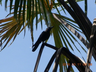 Indonesia - Komodo Island